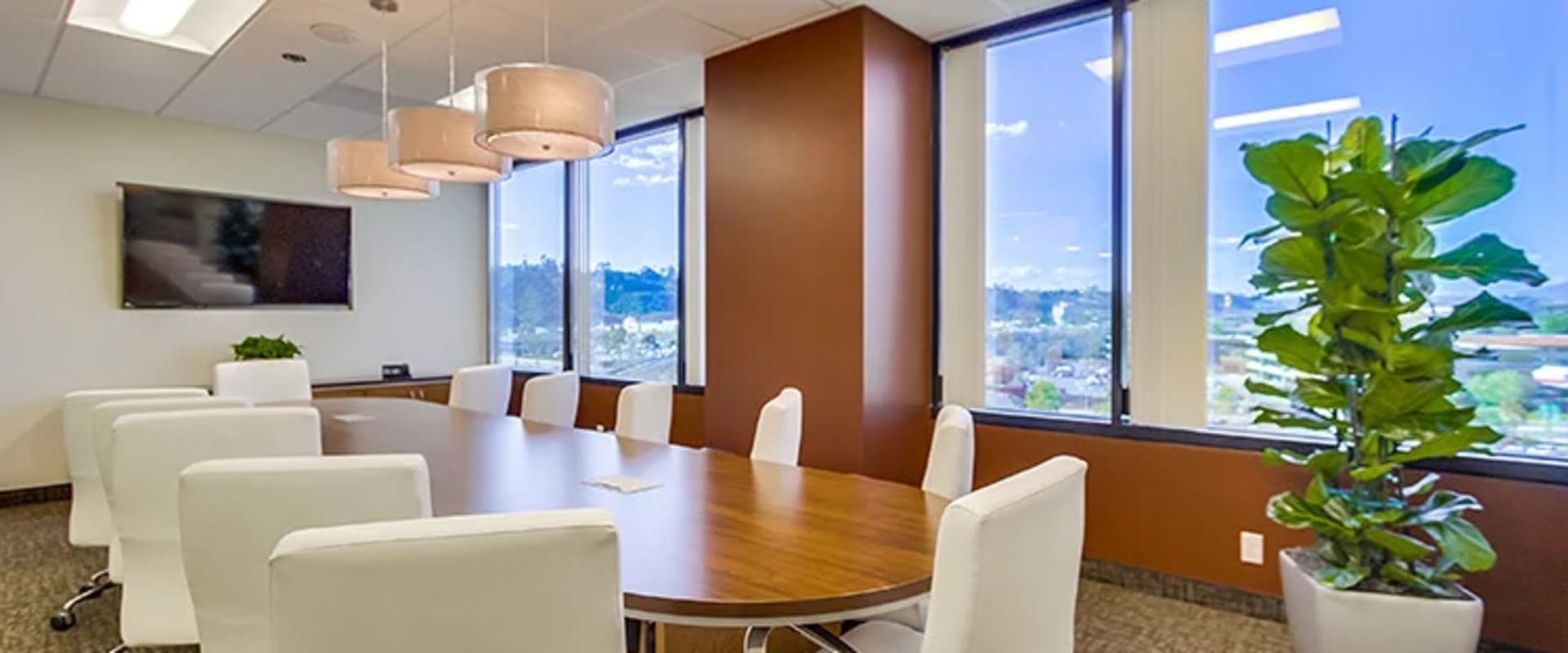 Navigating Employment Law Consulting in San Diego